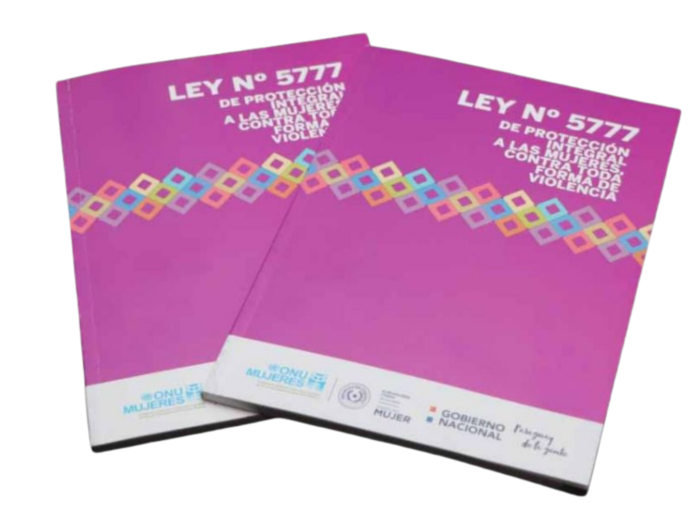 LEY DE PROTECCIÓN INTEGRAL A LAS MUJERES, CONTRA TODA FORMA DE VIOLENCIA